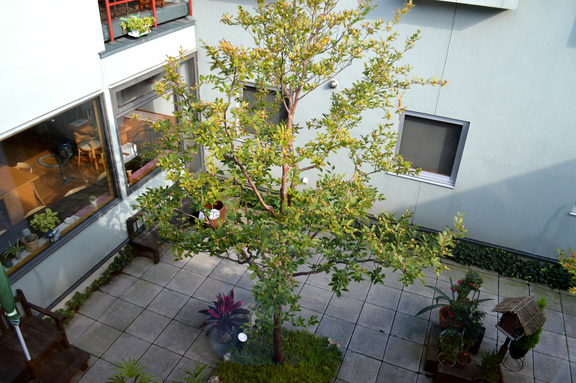B&B Pension Hakodate-Mura Extérieur photo